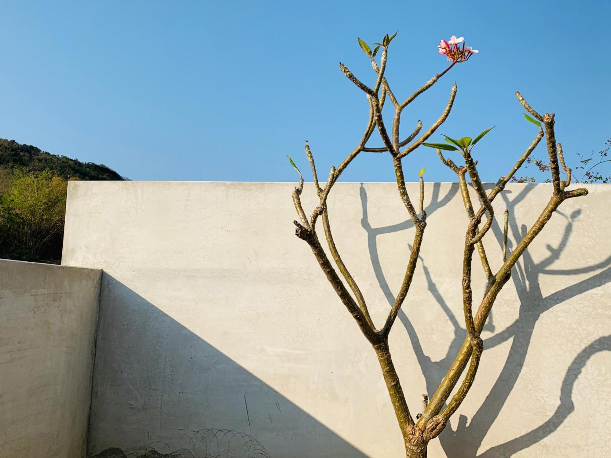墾丁后灣仙杜瑞拉海景旅宿 车城 外观 照片